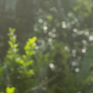 PELÍCULA DE CONTROL SOLAR NANOCERAMICA HANITA (AVERY)