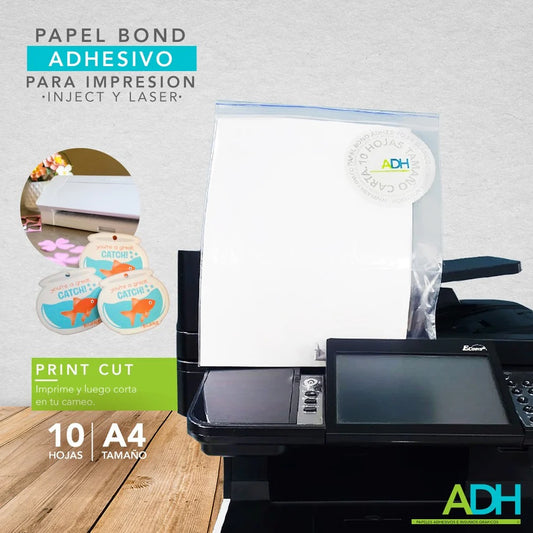 Bond 75/80 Corriente P4 Paquete x 10 Hojas Tamaño Carta (21.5 X 28 CM)