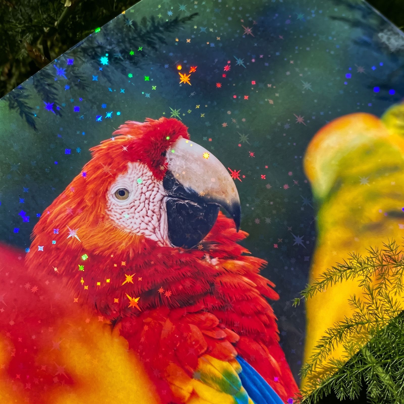 PET LAMINADO ESTRELLAS HOLOGRAFICAS ADH