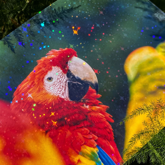 PET LAMINADO ESTRELLAS HOLOGRAFICAS ADH