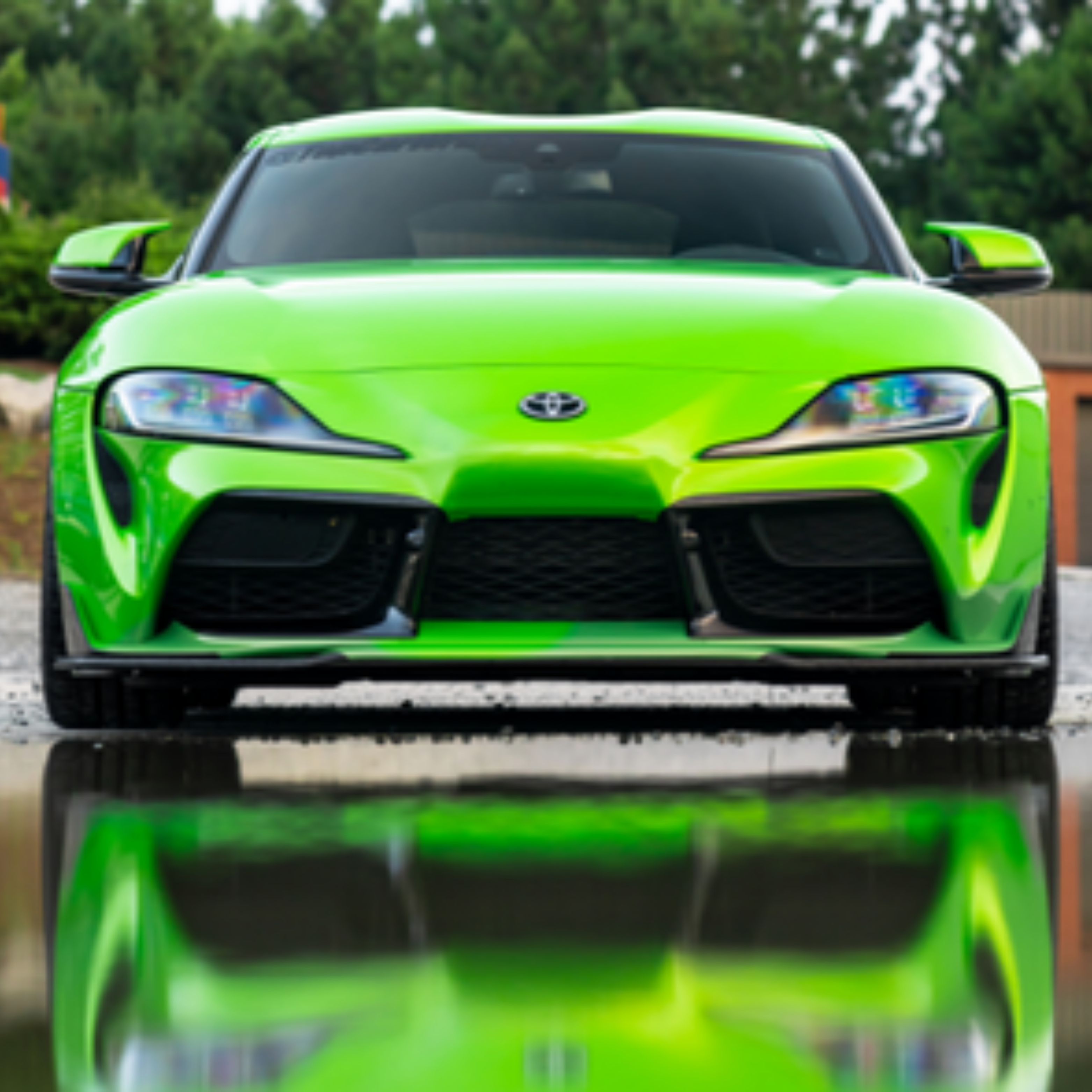 WASABI GREEN GLOSS HX20228B DE 1.52MT